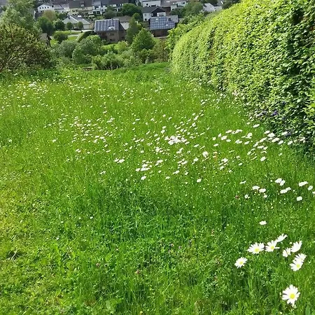 Lust Auf Natur * Dahlem (Euskirchen)
